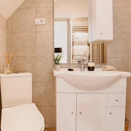 アパート Albert Authentic Suites Brasov - Tampa View & Exclusive Guest Benefits ブラショフ